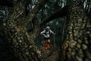 BIB: 
                            <button type="button" onclick="openModal(25692145)" class="btn btn-primary btn-sm float-right btn-popup" data-toggle="modal" data-target=".modal-high-quality">
                        <i class="fas fa-shopping-cart"></i> Add to Cart
                    </button>
                                            <button type="button" onclick="isThisMe(25692145, true)" class="btn btn-success btn-sm float-right btn-popup btn-isme hidden" data-toggle="tooltip" data-placement="bottom" title="นี่คือรูปของคุณใช่ไหม คลิกที่นี่เพื่อเอาเข้าอัลบั้ม">
                        <i class="fas fa-plus"></i> Add to album
                    </button>
                    <button type="button" onclick="isThisMe(25692145, false)" class="btn btn-warning btn-sm float-right btn-popup btn-isnotme hidden">
                        <i class="fas fa-ban"></i> Remove from album
                    </button>